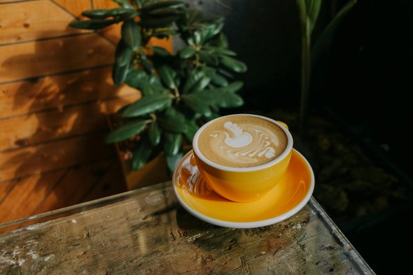 Dévoilez les bienfaits surprenants de l'argile verte pour votre peau et apprenez à l'appliquer comme un pro !